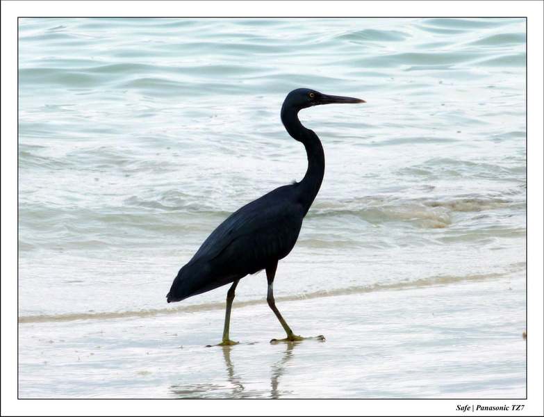 2011 - 03 - Koh Ngai 057